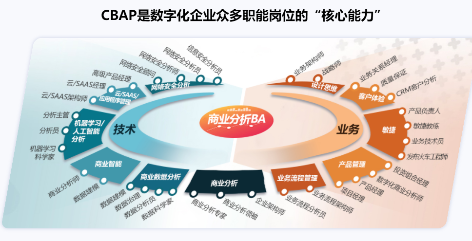 CBAP   Certified Business Analysis Professional 